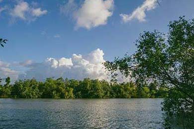 AC米兰再次战胜对手，保持不败纪录，ac米兰赢了吗